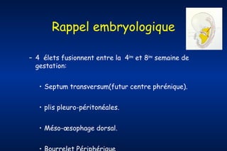 Rappel embryologique
– 4 élets fusionnent entre la 4ème et 8ème semaine de
gestation:
• Septum transversum(futur centre phrénique).
• plis pleuro-péritonéales.
• Méso-œsophage dorsal.
• Bourrelet Périphérique

 