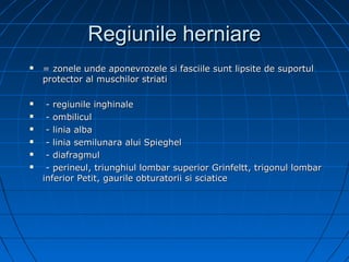Trigonul Inghinal Herniile+inghinale+1+fara+animatie | PPT
