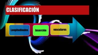 CLASIFICACIÓN
Longitudinales vascularesInserción
 
