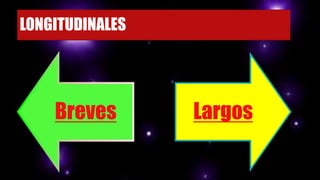 LONGITUDINALES
Breves Largos
 