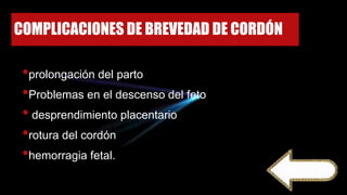COMPLICACIONES DE BREVEDAD DE CORDÓN
•prolongación del parto
•Problemas en el descenso del feto
• desprendimiento placentario
•rotura del cordón
•hemorragia fetal.
 