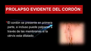 PROLAPSO EVIDENTE DEL CORDÓN:
•El cordón se presente en primera
parte, e incluso puede palparse a
través de las membranas si la
cérvix esta dilatado.
 