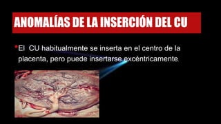 ANOMALÍAS DE LA INSERCIÓN DEL CU
•El CU habitualmente se inserta en el centro de la
placenta, pero puede insertarse excéntricamente.
 