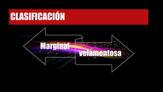CLASIFICACIÓN
Marginal
velamentosa
 