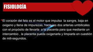 FISIOLOGÍA
•El corazón del feto es el motor que impulsa la sangre, baja en
oxigeno y llena de impurezas, hacia las dos arterias umbilicales
con el propósito de llevarla a la placenta para que mediante un
intercambio , la placenta pueda oxigenarla y limpiarla en cuestión
de mili-segundos.
 