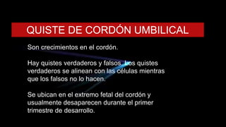 QUISTE DE CORDÓN UMBILICAL
Son crecimientos en el cordón.
Hay quistes verdaderos y falsos. Los quistes
verdaderos se alinean con las células mientras
que los falsos no lo hacen.
Se ubican en el extremo fetal del cordón y
usualmente desaparecen durante el primer
trimestre de desarrollo.
 