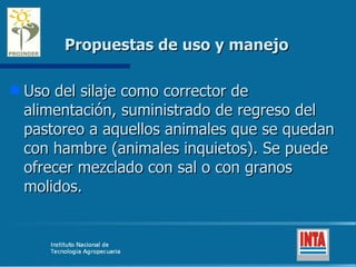 Propuestas de uso y manejo Uso del silaje como corrector de alimentación, suministrado de regreso del pastoreo a aquellos animales que se quedan con hambre (animales inquietos). Se puede ofrecer mezclado con sal o con granos molidos. 