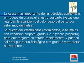 La causa más importante de las pérdidas económicas en rodeos de cría es el anestro posparto (vacas que retardan la aparición del celo luego del parto por estar muy delgadas). Se puede dar estabulados (corraleados) a animales con condición corporal grado 1 o 2 (vacas posparto) para que mejoren su estado rápidamente, y puedan  salir del puerperio fisiológico con grado 3 y entorarse nuevamente .  