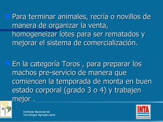 Para terminar animales, recría o novillos de manera de organizar la venta, homogeneizar lotes para ser rematados y mejorar el sistema de comercialización. En la categoría Toros , para preparar los machos pre-servicio de manera que comiencen la temporada de monta en buen estado corporal (grado 3 o 4) y trabajen mejor . 
