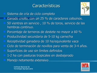Características Sistema de cría de ciclo completo Ganado criollo, con un 25 % de caracteres cebuinos. 50 vientres en servicio , 10 % de toros, servicio de las hembras continuo.  Porcentaje de terneros de destete no mayor a 60 % Productividad secundaria de 5-10 kg carne/ha Receptividad ganadera de 10 ha/equivalente vaca Ciclo de terminación de novillos para venta de 3-4 años. Superficies de uso sin límites definidos 1-2 ha con pasturas tropicales en desbajerado Manejo netamente extensivo 