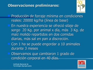 Observaciones preliminares: Producción de forraje mínima en condiciones reales: 20000 kg/ha (línea de base) En nuestra experiencia se ofreció silaje de sorgo  20 Kg. por animal x día, más  3 Kg. de maíz molido repartidos en dos comidas diarias, más sal en pan a discreción. Con 1 ha se puede engordar a 10 animales durante 3 meses Observamos que cambiaron 1 grado de condición corporal en 40 días.  
