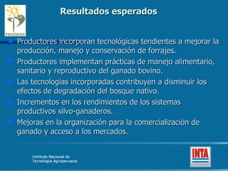 Resultados esperados Productores incorporan tecnológicas tendientes a mejorar la producción, manejo y conservación de forrajes. Productores implementan prácticas de manejo alimentario, sanitario y reproductivo del ganado bovino. Las tecnologías incorporadas contribuyen a disminuir los efectos de degradación del bosque nativo. Incrementos en los rendimientos de los sistemas productivos silvo-ganaderos. Mejoras en la organización para la comercialización de ganado y acceso a los mercados. 