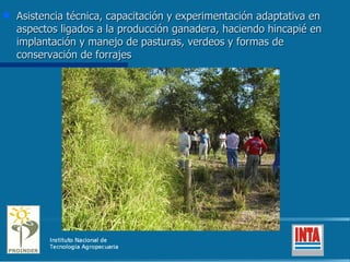 Asistencia técnica, capacitación y experimentación adaptativa en aspectos ligados a la producción ganadera, haciendo hincapié en implantación y manejo de pasturas, verdeos y formas de conservación de forrajes 