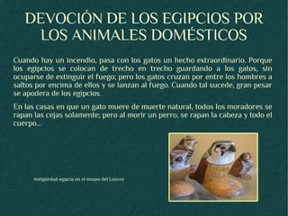 DEVOCIÓN DE LOS EGIPCIOS POR
    LOS ANIMALES DOMÉSTICOS
Cuando hay un incendio, pasa con los gatos un hecho extraordinario. Porque
los egipcios se colocan de trecho en trecho guardando a los gatos, sin
ocuparse de extinguir el fuego; pero los gatos cruzan por entre los hombres a
saltos por encima de ellos y se lanzan al fuego. Cuando tal sucede, gran pesar
se apodera de los egipcios.
En las casas en que un gato muere de muerte natural, todos los moradores se
rapan las cejas solamente; pero al morir un perro, se rapan la cabeza y todo el
cuerpo...




      Antigüedad egipcia en el museo del Louvre
 
