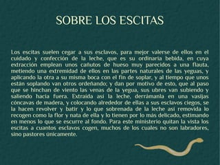 SOBRE LOS ESCITAS

Los escitas suelen cegar a sus esclavos, para mejor valerse de ellos en el
cuidado y confección de la leche, que es su ordinaria bebida, en cuya
extracción emplean unos cañutos de hueso muy parecidos a una flauta,
metiendo una extremidad de ellos en las partes naturales de las yeguas, y
aplicando la otra a su misma boca con el fin de soplar, y al tiempo que unos
están soplando van otros ordeñando; y dan por motivo de esto, que al paso
que se hinchan de viento las venas de la yegua, sus ubres van subiendo y
saliendo hacia fuera. Extraída así la leche, derrámanla en una vasijas
cóncavas de madera, y colocando alrededor de ellas a sus esclavos ciegos, se
la hacen revolver y batir y lo que sobrenada de la leche así removida lo
recogen como la flor y nata de ella y lo tienen por lo más delicado, estimando
en menos lo que se escurre al fondo. Para este ministerio quitan la vista los
escitas a cuantos esclavos cogen, muchos de los cuales no son labradores,
sino pastores únicamente.
 