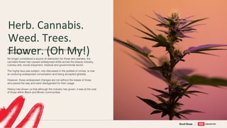 Herb. Cannabis.
Weed. Trees.
Flower. (Oh My!)
No matter how you name it, the marijuana industry has become an
undeniable force.
No longer considered a source of distraction for those who partake, the
cannabis flower has caused widespread shifts across the beauty industry,
culinary arts, social enjoyment, medical and governmental sector.
The highly faux pas subject, only discussed in the politest of circles, is now
an enduring widespread conversation and being accepted globally.
However, these widespread changes are not without the losses of those
who paved the way and were disregarded for their usage.
History has shown us that although the industry has grown, it was at the cost
of those within Black and Brown communities.
 