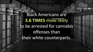 Black Americans are
3.6 TIMES more likely
to be arrested for cannabis
offenses than
their white counterparts.
Pew Research
 