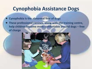 Cynophobia Assistance Dogs
Cynophobia is the abnormal fear of dogs
These professional canines, along with the training centre,
help children become more comfortable around dogs C free
of charge
 