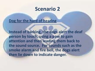 Scenario 2
Dog for the hard of hearing
Instead of barking, the dogs alert the deaf
person by touch, using a paw to gain
attention and then leading them back to
the sound source. For sounds such as the
smoke alarm and fire bell, the dogs alert
then lie down to indicate danger.
 