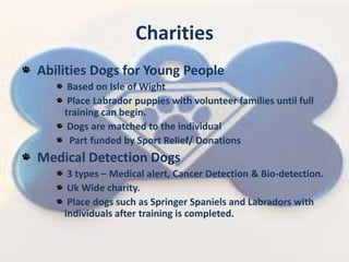 Charities
Abilities Dogs for Young People
Based on Isle of Wight
Place Labrador puppies with volunteer families until full
training can begin.
Dogs are matched to the individual
Part funded by Sport Relief/ Donations
Medical Detection Dogs
3 types C Medical alert, Cancer Detection & Bio-detection.
Uk Wide charity.
Place dogs such as Springer Spaniels and Labradors with
individuals after training is completed.
 
