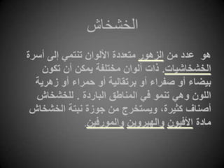 الخشخاشهو  عدد من الزهور متعددة الألوان تنتمي إلى أسرة الخشخاشيات. ذات ألوان مختلفة يمكن أن تكون بيضاء أو صفراء أو برتقالية أو حمراء أو زهرية اللون وهي تنمو في المناطق الباردة . للخشخاش أصناف كثيرة، ويستخرج من جوزة نبتة الخشخاش مادة الأفيونوالهيروينوالمورفين.
