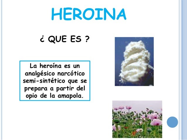 Heroina Heroina Heroina Heroina