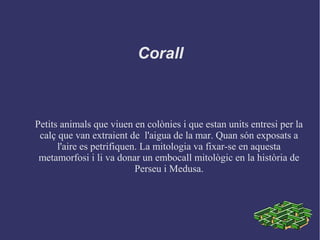 Corall
Petits animals que viuen en colònies i que estan units entresi per la
calç que van extraient de l'aigua de la mar. Quan són exposats a
l'aire es petrifiquen. La mitologia va fixar-se en aquesta
metamorfosi i li va donar un embocall mitològic en la història de
Perseu i Medusa.
 
