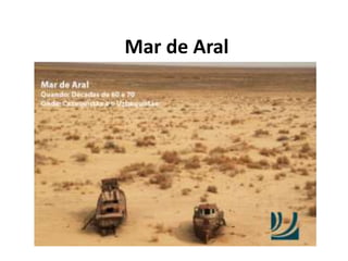 Mar de Aral
 