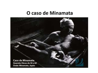 O caso de Minamata
 