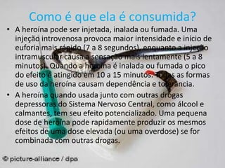 Como é que ela é consumida?
• A heroína pode ser injetada, inalada ou fumada. Uma
injeção introvenosa provoca maior intensidade e início de
euforia mais rápido (7 a 8 segundos), enquanto a injeção
intramuscular causa a sensação mais lentamente (5 a 8
minutos). Quando a heroína é inalada ou fumada o pico
do efeito é atingido em 10 a 15 minutos. Todas as formas
de uso da heroína causam dependência e tolerância.
• A heroína quando usada junto com outras drogas
depressoras do Sistema Nervoso Central, como álcool e
calmantes, tem seu efeito potencializado. Uma pequena
dose de heroína pode rapidamente produzir os mesmos
efeitos de uma dose elevada (ou uma overdose) se for
combinada com outras drogas.
 