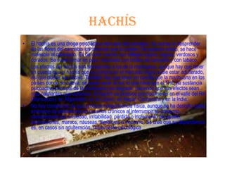 hachís
•   El hachis es una droga psicoactiva derivada del cannabis. Se extrae al desprender
    de las flores del cannabis los tricomas que la cubren. De aspecto sólido, se hace
    maleable al calentarlo. Es de color marrón con reflejos rojizos, negros, verdosos y
    dorados. Se suele fumar en pipa, mezclado con brotes de cannabis y con tabaco.
•   Los efectos del hachís son semejantes a los de la marihuana, aunque hay que tener
    en cuenta que el hachís que se compra en el mercado negro suele estar adulterado,
    así que puede ser nocivo. También hay que tener en cuenta que la marihuana en los
    países donde se cultiva, se suele secar al sol, lo que hace que el THC (la sustancia
    psicoactiva principal de la marihuana) se degrade, haciendo que sus efectos sean
    más calmantes que eufóricos. El hachís se produce principalmente en el valle del Rif
    (Marruecos), en Afganistán, en el Líbano, en Nepal, Cachemira y en la India.
•   No hay constancia de que produzca dependencia física, aunque se ha descrito cierto
    síndrome de abstinencia en usuarios crónicos al interrumpir su consumo,
    caracterizado por ansiedad, irritabilidad, pérdida o incremento del apetito,
    alucinaciones, mareos, náuseas, temblores e insomnio. Se cree que su dependencia
    es, en casos sin adulteración, únicamente psicológica
 
