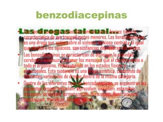 benzodiacepinas
• Ese tipo de sustancia, conocidas también como benzos, tiene la
  característica de ser tranquilizantes menores. Las benzodiazepinas
  es una droga que actúa sobre el sistema nervioso central y al igual
  que alcohol o los opiáceos, son sustancias depresoras del mismo.
• Las benzodiazepinas se caracterizan de disminuir la actividad
  cerebral y disminuir o atrasar los mensajes que el cerebro envía a
  todo el organismo, repercutiendo en los estados físicos y
  emocionales. Esta sustancia es una droga sintética, constando de
  diferentes variedades de drogas dentro de la misma categoría.
• Dentro de los diferentes tipos de benzodiazepinas, se encuentran las
  siguientes drogas: triazolam, alprazolam, oxazolam, estazolam,
  diazepam, lorazepam, lormetazepam, flurazepam, flunitrazepam,
  clonazepam, tranxilium, librium, valium.
 