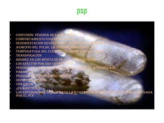 psp

•   confusión, pérdida de la memoria
•   comportamiento esquizofrénico
•   desorientación respecto del tiempo y el ambiente
•   aumento del pulso, la presión sanguínea, la
•   temperatura del cuerpo y el ritmo respiratorio
•   transpiración
•   rigidez en los músculos de las extremidades
•   Los efectos por uso crónico son:
•   pérdida de capacidades mentales para el aprendizaje
•   paranoia
•   pérdida de peso y desnutrición
•   depresión grave
•   violencia
•   ¿ES ADICTIVA?
•   Los estudios han demostrado la existencia de dependencia química causada
    por el PCP
 