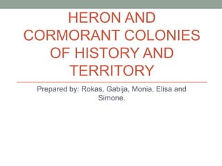 HERON AND
CORMORANT COLONIES
OF HISTORY AND
TERRITORY
Prepared by: Rokas, Gabija, Monia, Elisa and
Simone.
 