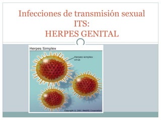 Infecciones de transmisión sexual ITS: HERPES GENITAL 
