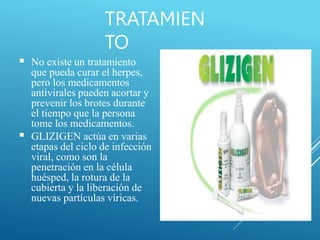 TRATAMIEN
TO
■
■
No existe un tratamiento
que pueda curar el herpes,
pero los medicamentos
antivirales pueden acortar y
prevenir los brotes durante
el tiempo que la persona
tome los medicamentos.
GLIZIGEN actúa en varias
etapas del ciclo de infección
viral, como son la
penetración en la célula
huésped, la rotura de la
cubierta y la liberación de
nuevas partículas víricas.
 