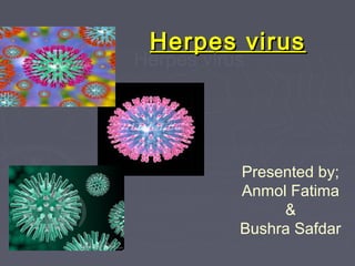 Herpes virusHerpes virus
Herpes virus
Presented by;
Anmol Fatima
&
Bushra Safdar
 