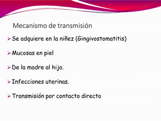 Mecanismo de transmisión
Se adquiere en la niñez (Gingivostomatitis)
Mucosas en piel
De la madre al hijo.
Infecciones uterinas.
Transmisión por contacto directo
 
