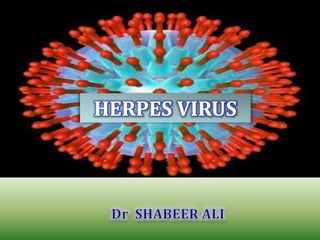 HERPES VIRUS 
 