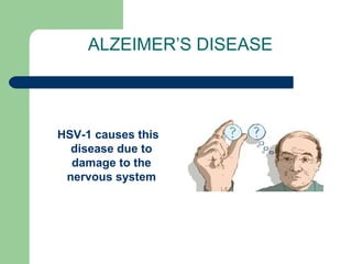 ALZEIMER’S DISEASE 
HSV-1 causes this 
disease due to 
damage to the 
nervous system 
 