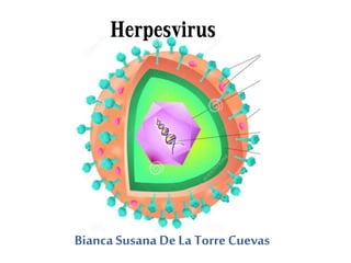 Herpesvirus
BiancaSusana De La TorreCuevas
 