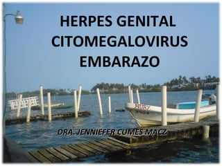 HERPES GENITAL  CITOMEGALOVIRUS EMBARAZO ,[object Object]