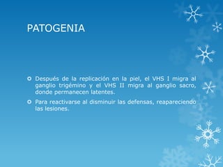 PATOGENIA

 Después de la replicación en la piel, el VHS I migra al
ganglio trigémino y el VHS II migra al ganglio sacro,
donde permanecen latentes.
 Para reactivarse al disminuir las defensas, reapareciendo
las lesiones.

 