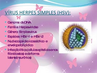 VÍRUS HERPES SIMPLES (HSV): Genoma: ds DNA Família: Herpesviridae Gênero: Simplexvirus Espécies: HSV-1 e  HSV-2 Nucleocapsídeo icosaédrico  e envelope bilipídico Infecção lítica (células epiteliais e nos fibrablastos) e de forma latente(neurônios) 