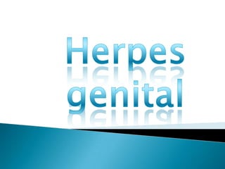 Herpes genital 