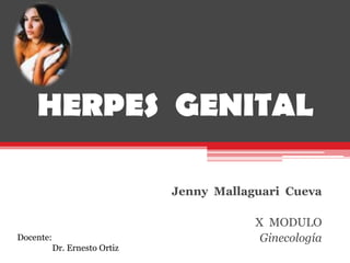 HERPES  GENITAL Jenny  Mallaguari  Cueva X  MODULO Ginecología Docente: 	Dr. Ernesto Ortiz 