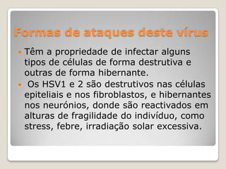 Formas de ataques deste vírus
Têm a propriedade de infectar alguns
tipos de células de forma destrutiva e
outras de forma hibernante.
 Os HSV1 e 2 são destrutivos nas células
epiteliais e nos fibroblastos, e hibernantes
nos neurónios, donde são reactivados em
alturas de fragilidade do indivíduo, como
stress, febre, irradiação solar excessiva.


 