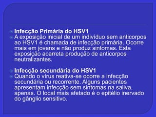 Infecção Primária do HSV1A exposição inicial de um indivíduo sem anticorpos ao HSV1 é chamada de infecção primária. Ocorre mais em jovens e não produz sintomas. Esta exposição acarreta produção de anticorpos neutralizantes. Infecção secundária do HSV1Quando o vírus reativa-se ocorre a infecção secundária ou recorrente. Alguns pacientes apresentam infecção sem sintomas na saliva, apenas. O local mais afetado é o epitélio inervado do gânglio sensitivo. 