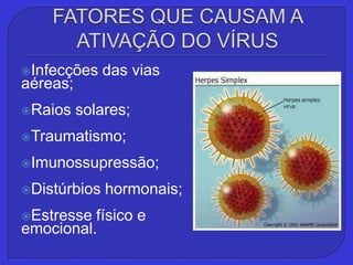FATORES QUE CAUSAM A ATIVAÇÃO DO VÍRUSInfecções das vias aéreas;Raios solares; Traumatismo; Imunossupressão;Distúrbios hormonais;Estresse físico e emocional.