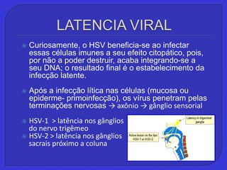 LATENCIA VIRALCuriosamente, o HSV beneficia-se ao infectar essas células imunes a seu efeito citopático, pois, por não a poder destruir, acaba integrando-se a seu DNA; o resultado final é o estabelecimento da infecção latente.Após a infecção lítica nas células (mucosa ou epiderme- primoinfecção), os vírus penetram pelas terminações nervosas -> axônio -> gânglio sensorialHSV-1  > latência nos gânglios    do nervo trigêmeoHSV-2 > latência nos gânglios    sacrais próximo a coluna